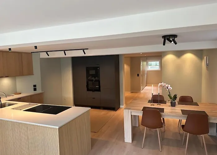 Stor Og Lys Leilighet I Hus