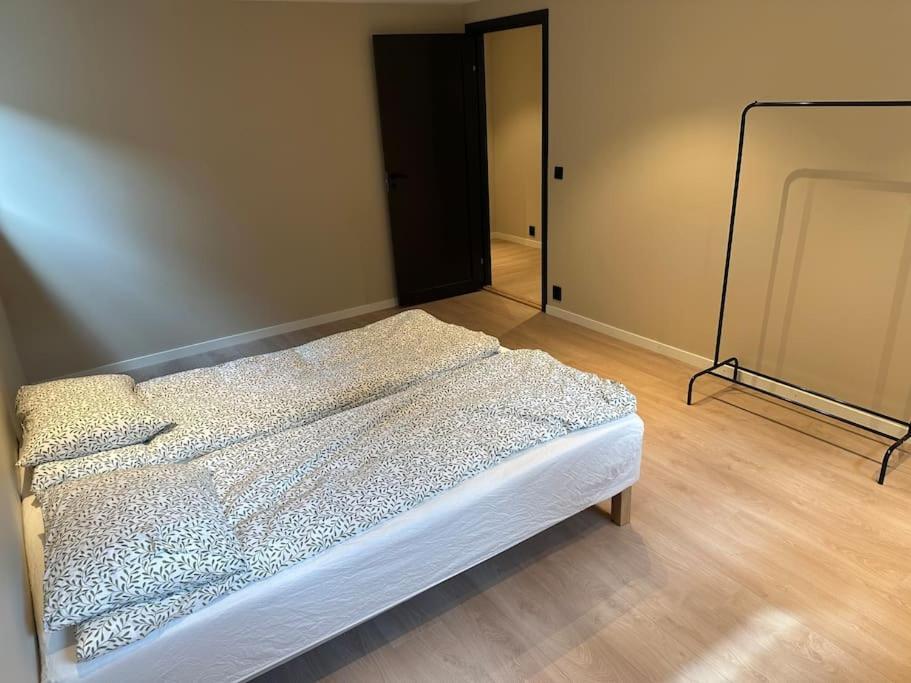 Appartement Stor Og Lys Leilighet I Hus