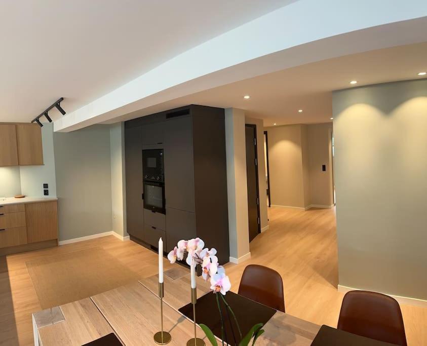 Stor Og Lys Leilighet I Hus Appartement