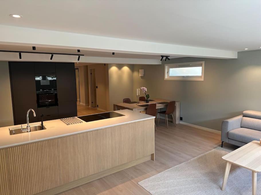 Appartement Stor Og Lys Leilighet I Hus Oslo