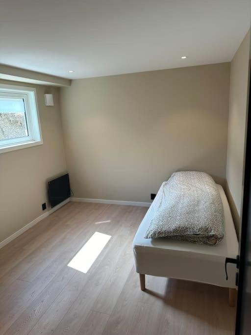 Appartement Stor Og Lys Leilighet I Hus